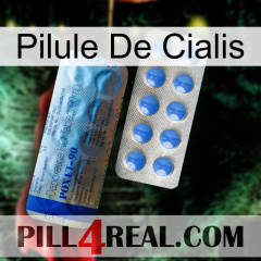 Cialis Pill 40